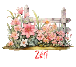 email 23097