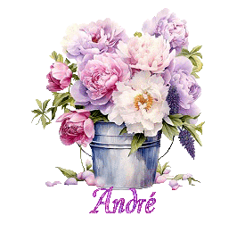 24050