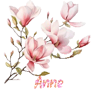 24031