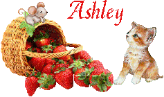 fraises-21069