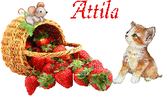fraises-21069