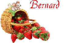 fraises-21069