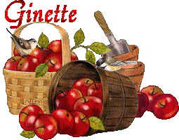 automne20121