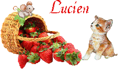 fraises-21069