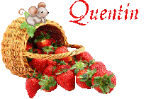 fraises-21069