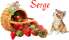 fraises-21069