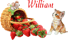 fraises-21069