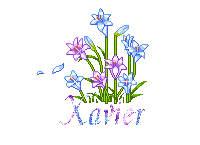KAWAII2064