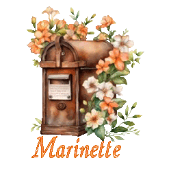 email 24047