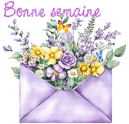 email 25084