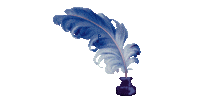 plume6