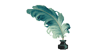 pl4